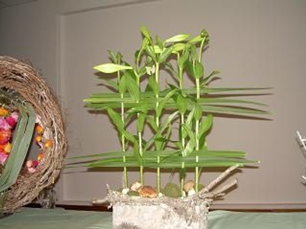 Floral Art Demonstration 2010 1 Floral Art Demonstration 2010 1