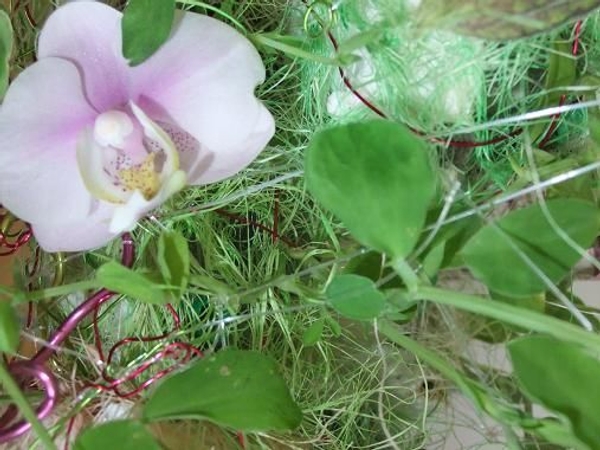 Growing a Floral Art Handbag with tiny plants: In The Bag Growing a Floral Art Handbag with tiny plants: In The Bag
