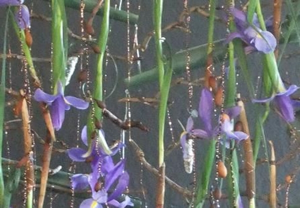 Floral Art Demonstration: Iris falling like water down the design Floral Art Demonstration: Iris falling like water down the design