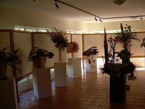 South African Flower Union show South African Flower Union show