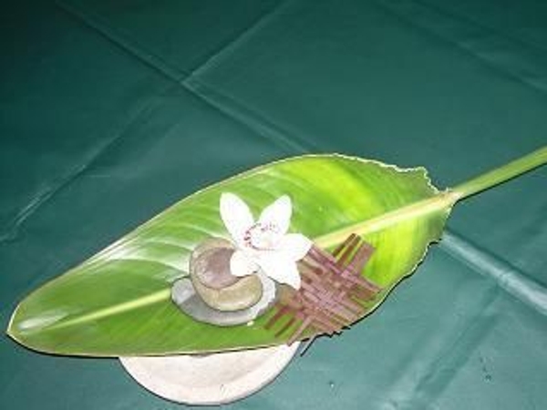 Cymbidium orchid with a foliage weave Cymbidium orchid with a foliage weave