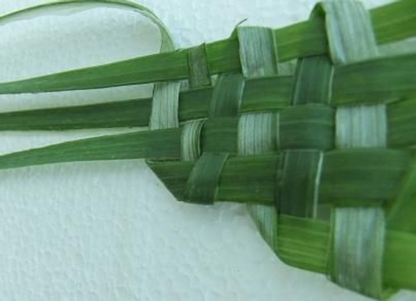 Foliage weaving with a curve on one side Foliage weaving with a curve on one side