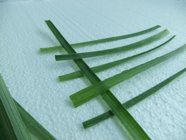 Open ended weave, Horizontal blades Open ended weave, Horizontal blades