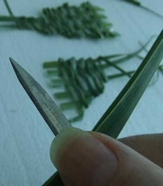 Preparing Flax to weave with