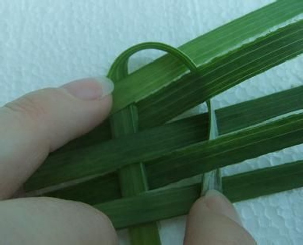 Weaving with Foliage- closed ended weave 1 Weaving with Foliage- closed ended weave 1