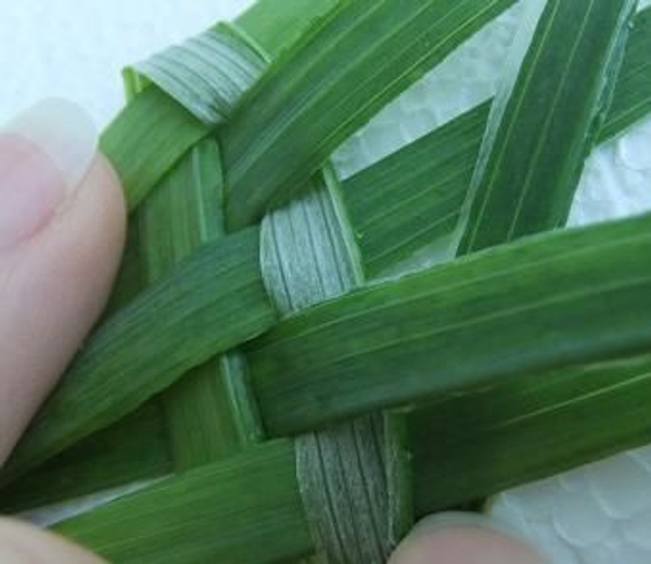 Weaving with Foliage- closed ended weave 2