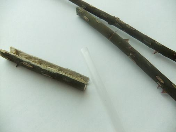 Cover the drinking straw test tube with bark