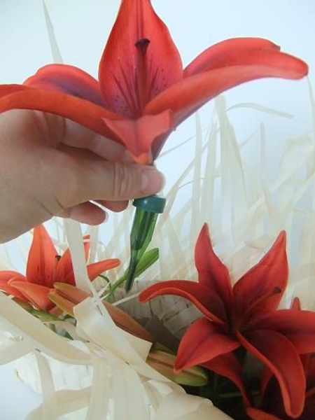 Place the lilies in test tubes. Place the lilies in test tubes.