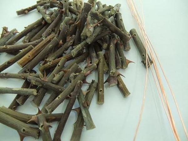 Zipper rose twigs Zipper rose twigs