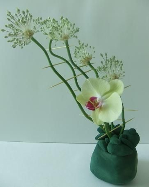 Floral Touchstone Floral Touchstone