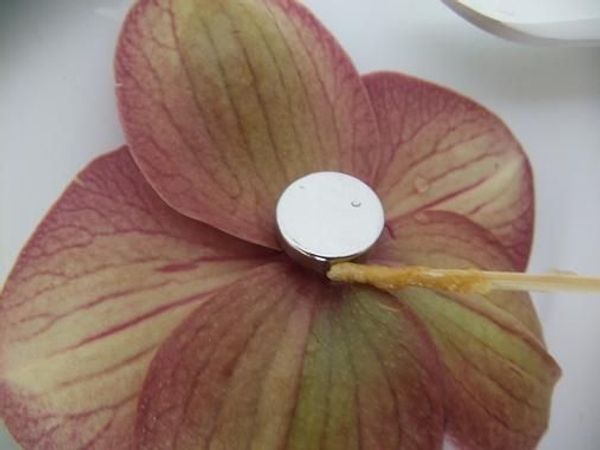 Remove glue from flowers