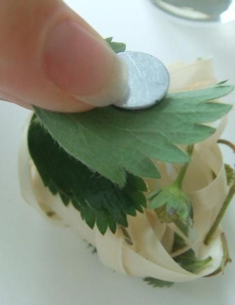 Seperate the magnet with a third leaf Seperate the magnet with a third leaf