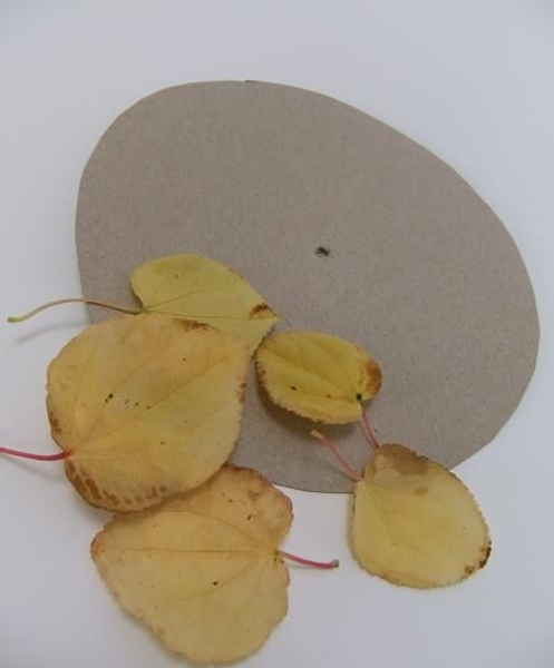 Cardboard and leaves for the rosette Cardboard and leaves for the rosette