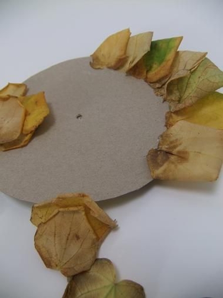 Glue the leaves onto the rosette cardboard Glue the leaves onto the rosette cardboard
