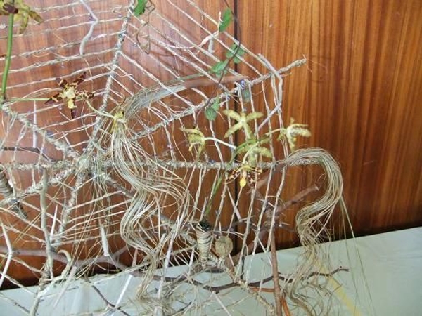 Ripped Flax spider web Floral Art Design by Christine de Beer Ripped Flax spider web Floral Art Design by Christine de Beer