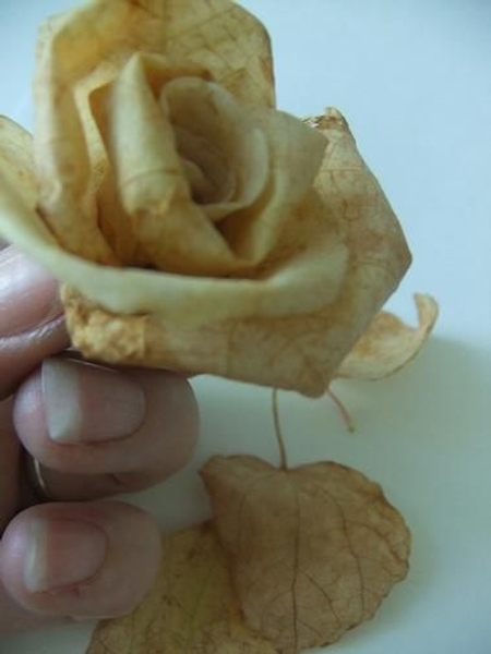 Roll the leaves to look like rose petals Roll the leaves to look like rose petals