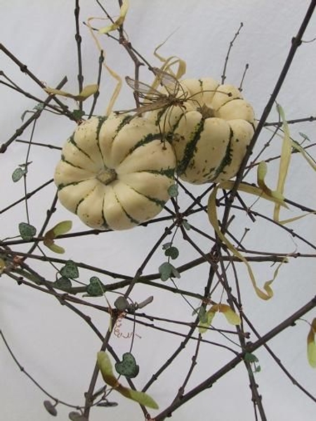 Rosary vine and pumpkin floral art design Rosary vine and pumpkin floral art design