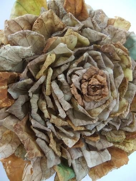 Rosette Autumn Fall Composite or Duchess Rose Rosette Autumn Fall Composite or Duchess Rose