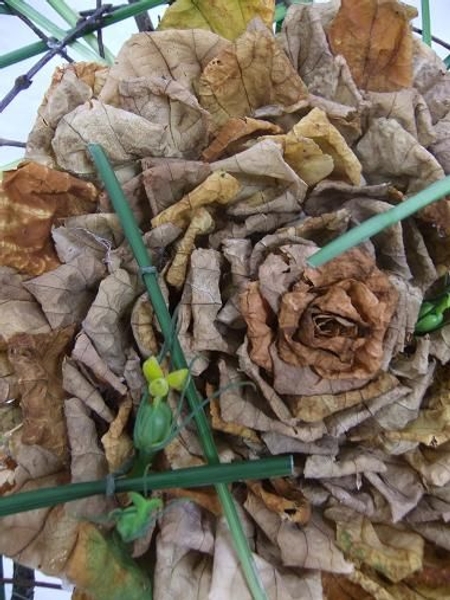 When Autumn Fall dried leaf rosette rose