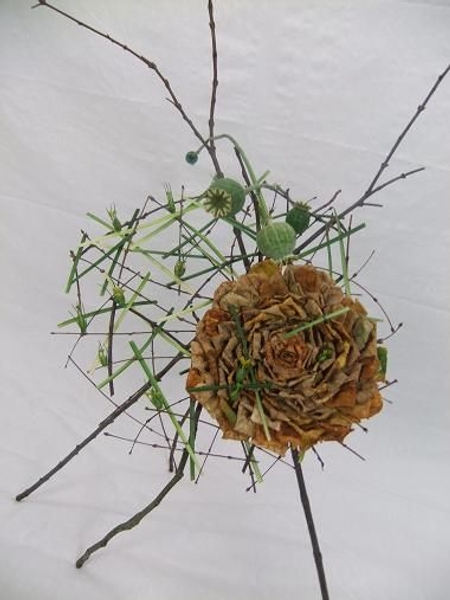 When Autumn Fall twig and leaf rose When Autumn Fall twig and leaf rose