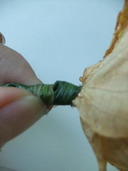 Wrap the stem with lily grass Wrap the stem with lily grass