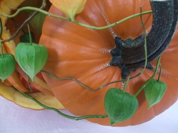 Chinese lantern on willow twigs twining around the pumpkin lid Chinese lantern on willow twigs twining around the pumpkin lid