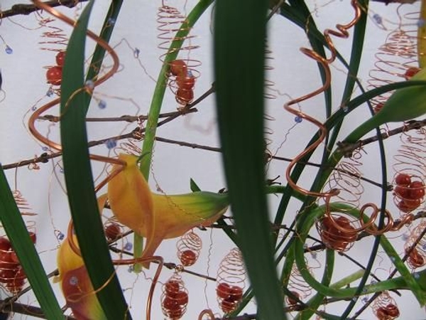 Direct Contrasts between dried twigs and green grass Direct Contrasts between dried twigs and green grass