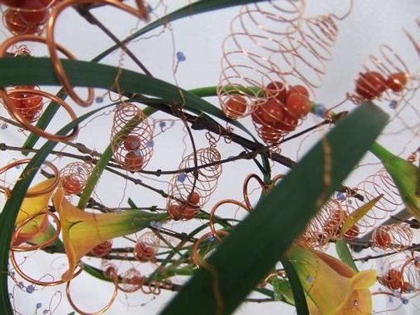 Direct Contrasts between the wire and the plant material Direct Contrasts between the wire and the plant material