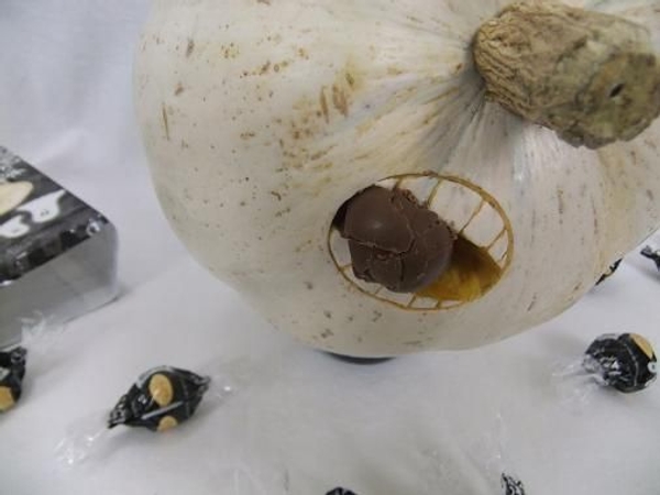 Ghost pumpkin eating my halloween candy! Ghost pumpkin eating my halloween candy!