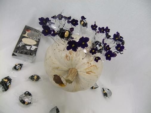 Ghost pumpkin with an African violet and chocolate halo Ghost pumpkin with an African violet and chocolate halo