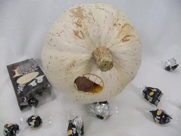 My ghost pumpkin is eating all my Lindt chocolates! My ghost pumpkin is eating all my Lindt chocolates!