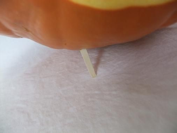 Pumpkin legs Pumpkin legs