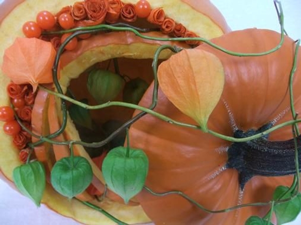 Spiral flowers from Physalis sepals Spiral flowers from Physalis sepals