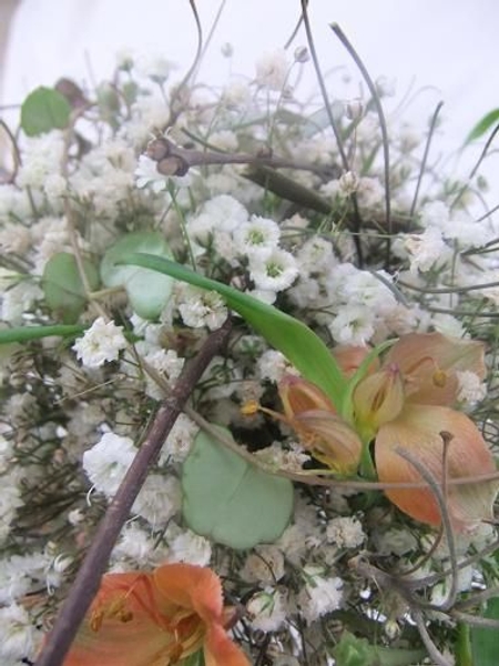 Alstroemeria flowers nestled between the twigs Alstroemeria flowers nestled between the twigs