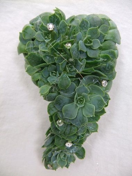 Echeveria waist corsage using a BoutStix Floral Magnets Echeveria waist corsage using a BoutStix Floral Magnets