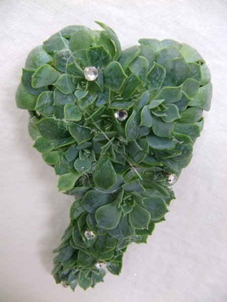 Elongated heart shape Echeveria waist corsage