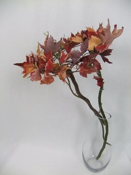 Fall wreath suspended on willow sticks Fall wreath suspended on willow sticks