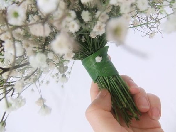 Gypsophila stems tied together Gypsophila stems tied together