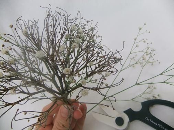 Insert the Gypsohilla flowers into the twig flower frog Insert the Gypsohilla flowers into the twig flower frog
