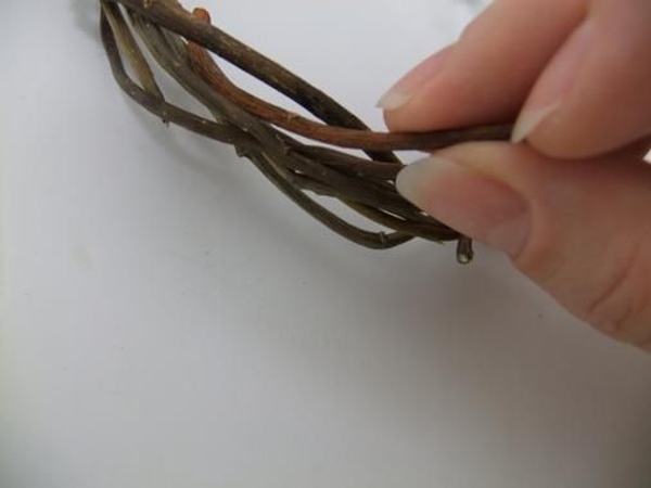 Let the natural curve in the twigs guide you to show how to bend each twig Let the natural curve in the twigs guide you to show how to bend each twig