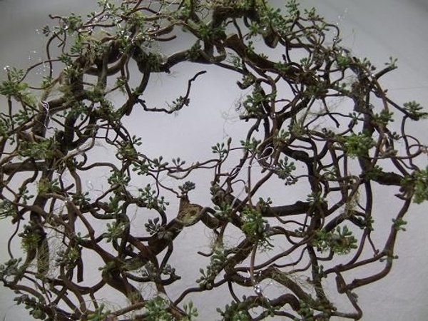 A Forest Filigree Christmas wreath for the garden A Forest Filigree Christmas wreath for the garden