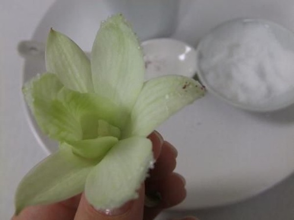 Add glitter to the sugar frost Add glitter to the sugar frost