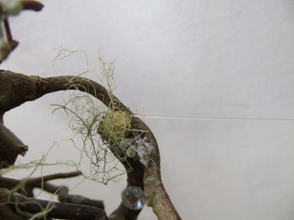Attach the line to the sides of the wreath and pull tight Attach the line to the sides of the wreath and pull tight