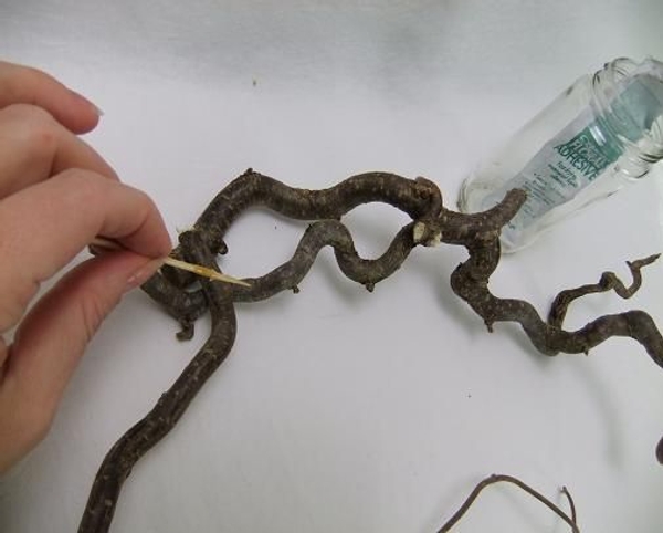 Continue adding twigs to form the wreath Continue adding twigs to form the wreath