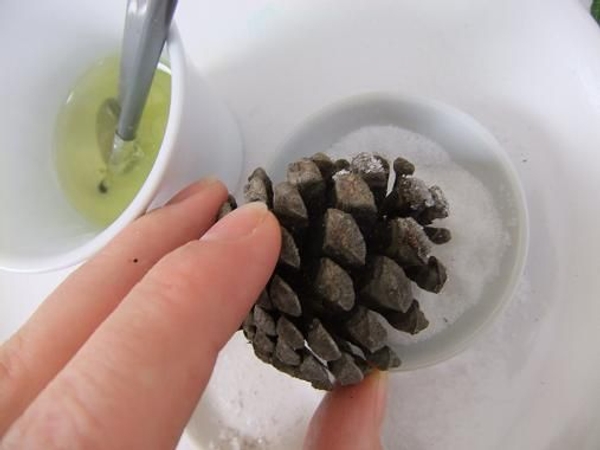 Dip the pine cone in sugar