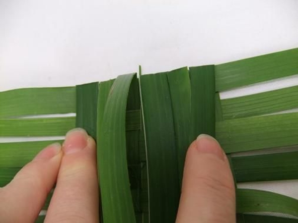 Firmly fold the palm leaves over the create a neat side Firmly fold the palm leaves over the create a neat side