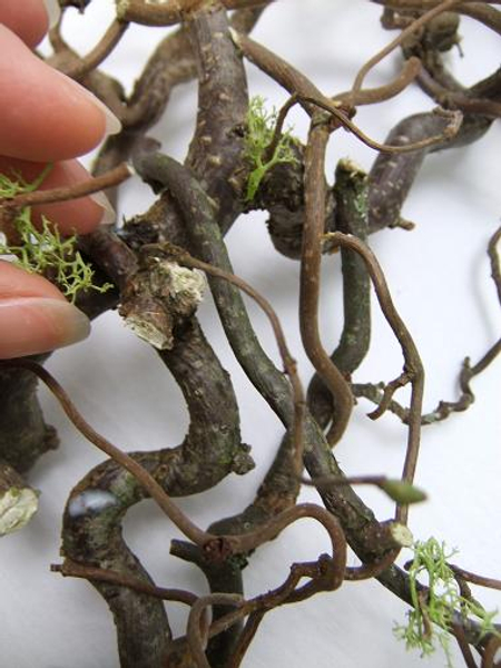 Glue the reindeer moss on to the wreath