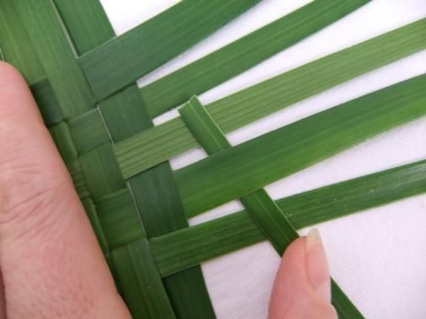 Keep the leaves tight to create a firm weave Keep the leaves tight to create a firm weave