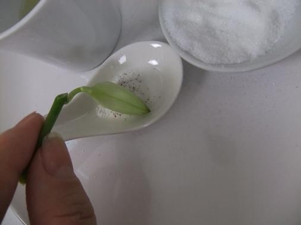 Lightly glitter the bud Lightly glitter the bud