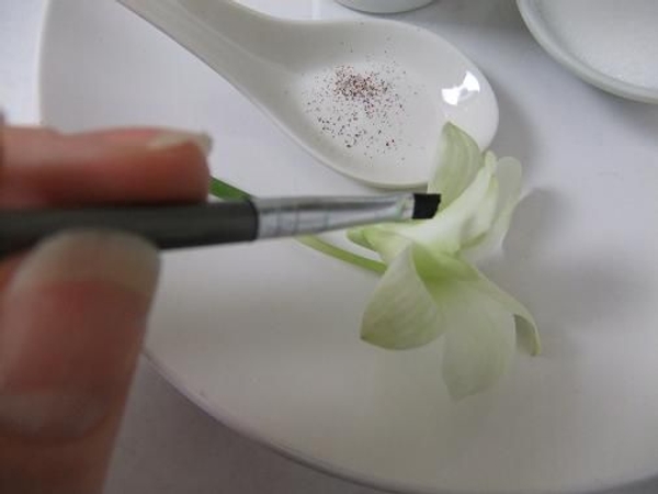 Paint the egg white on to the orchid in the places you want the frost Paint the egg white on to the orchid in the places you want the frost